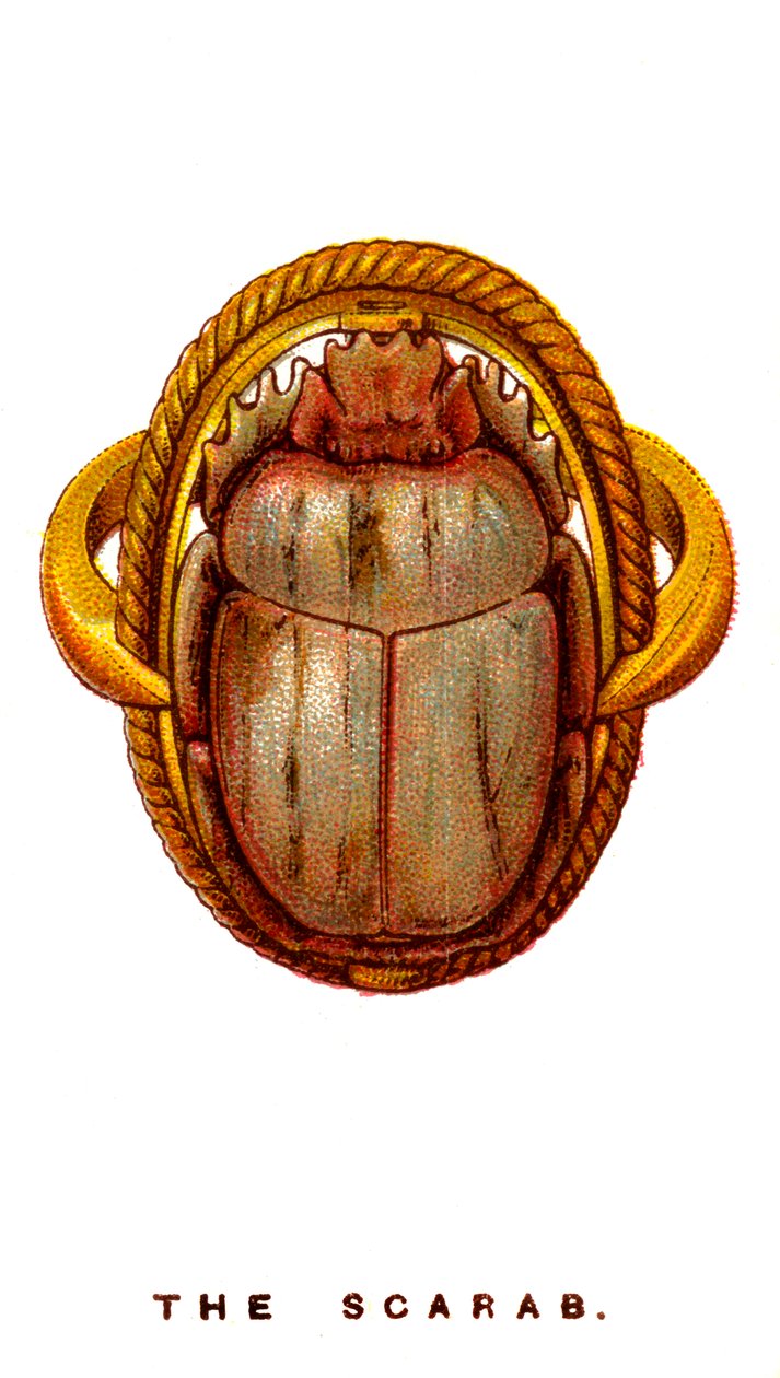 Skarabee, 1923 tekijältä Unbekannt