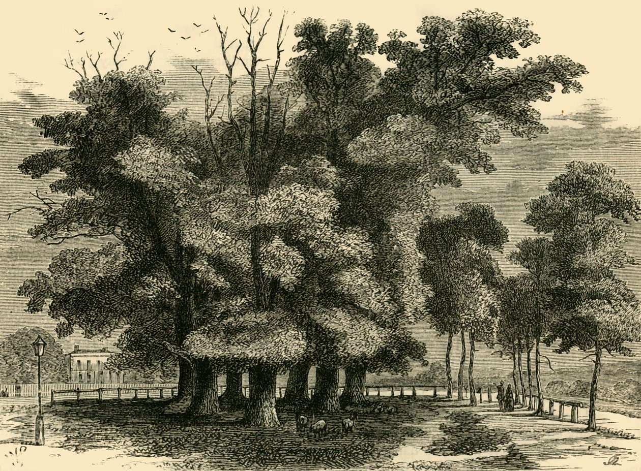 Seitsemän sisarta, vuonna 1830, n. 1876. tekijältä Unbekannt