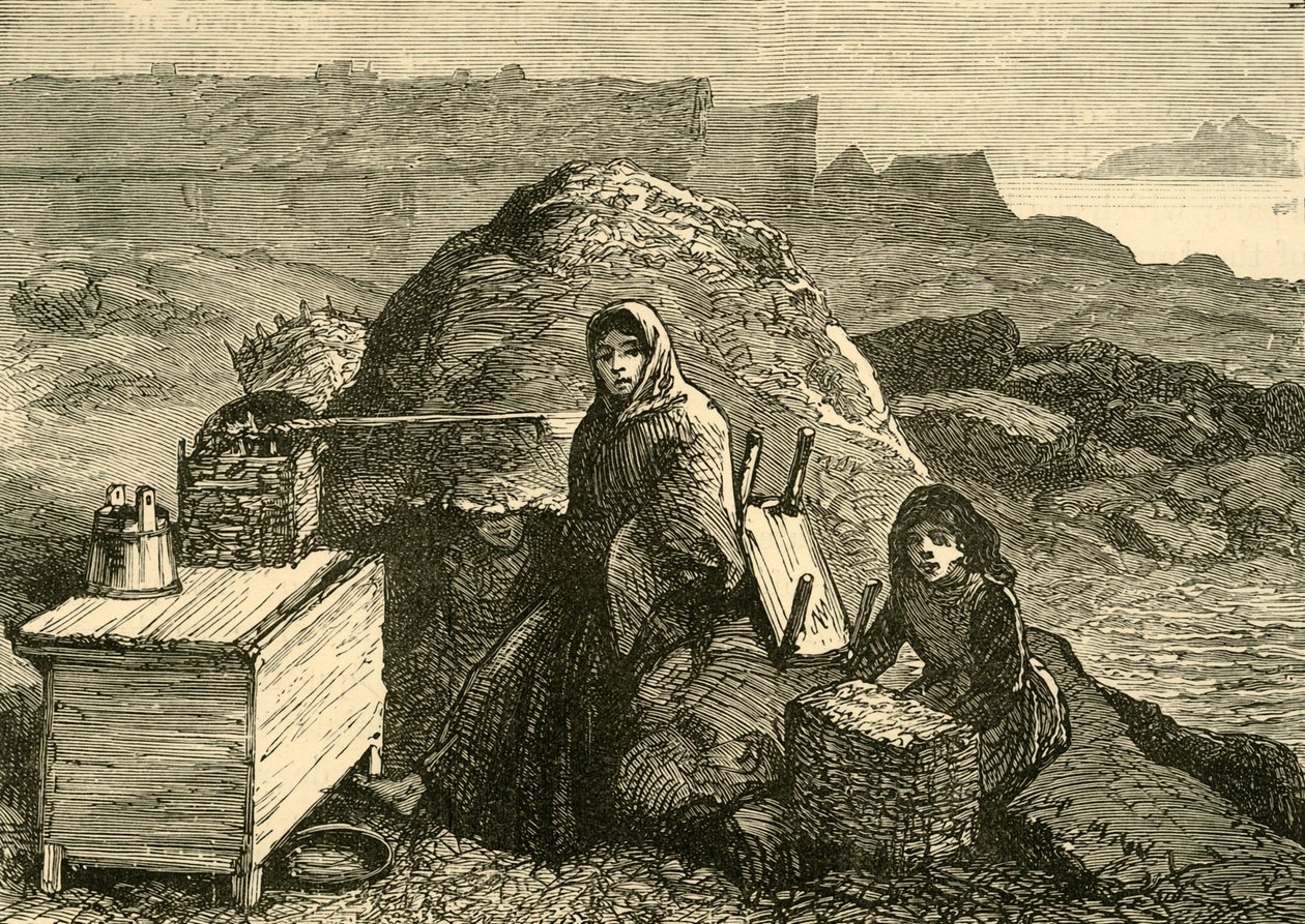 Irlannin osavaltio: Häädetty perhe Errismoren lähellä, 1880. tekijältä Unbekannt