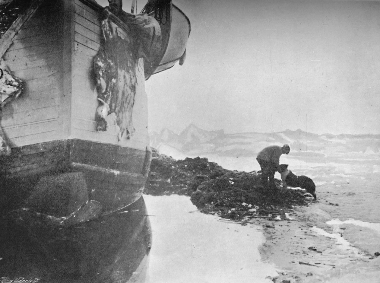 Framin perä. Johansen ja sulttaani, 16. kesäkuuta 1894, 1897 tekijältä Unbekannt