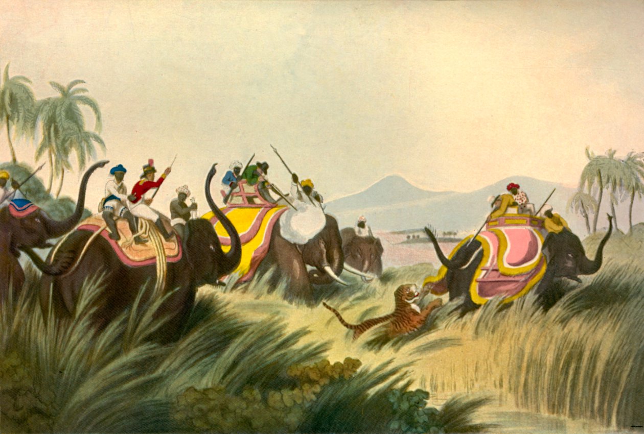 Tiikerinmetsästys, c1808, 1901. tekijältä Unbekannt