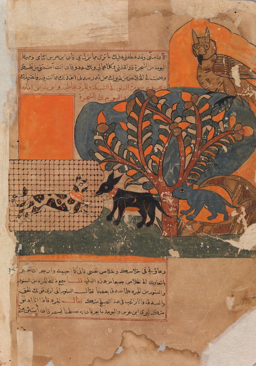 Loukkuun jäänyt kissa ja pelästynyt hiirirotta, Folio Kalila wa Dimnasta, 1700-luku. tekijältä Unbekannt