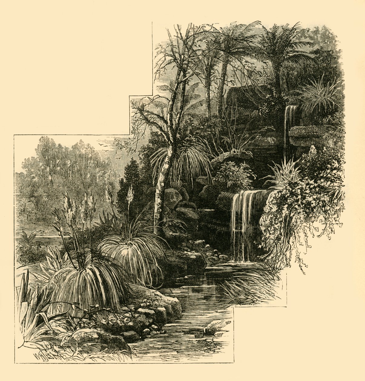 Trooppinen puutarha, Battersea Park, 1878. tekijältä Unbekannt