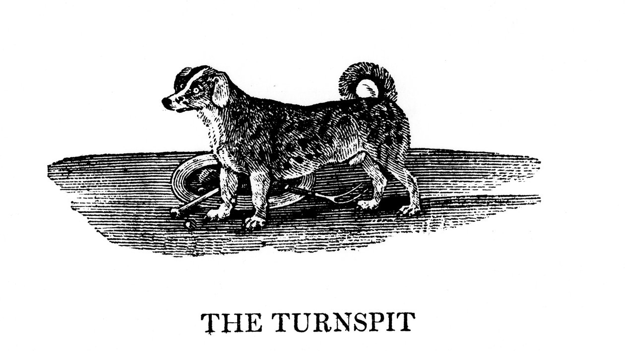 Tunspit, 1790 tekijältä Unbekannt