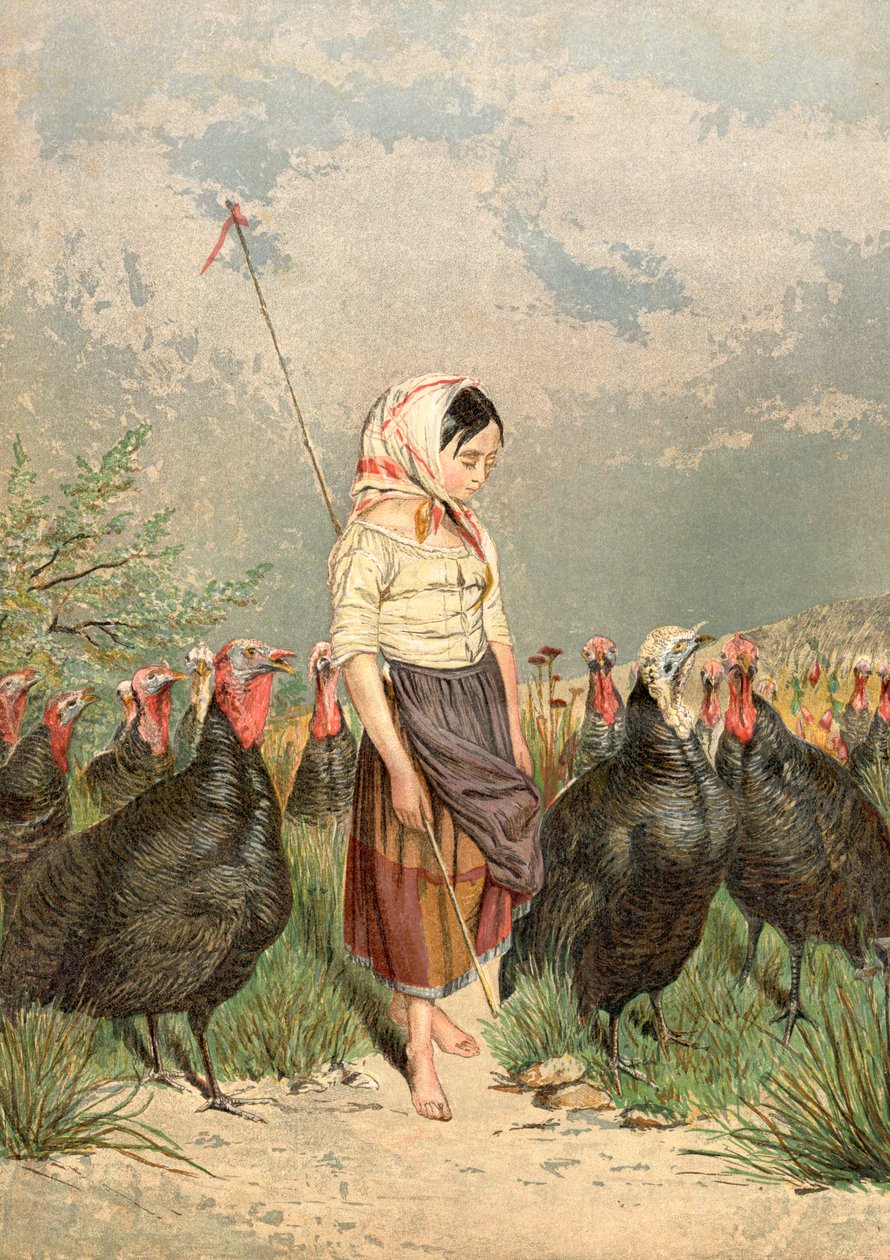 The Turkey Guardian, 1858 tekijältä Unbekannt