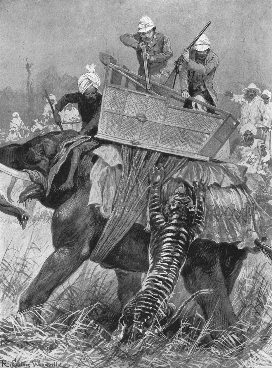 Walesin prinssin vierailu Intiaan, 1876: Tigerin lyömä prinssielefantti, 1901. tekijältä Unbekannt
