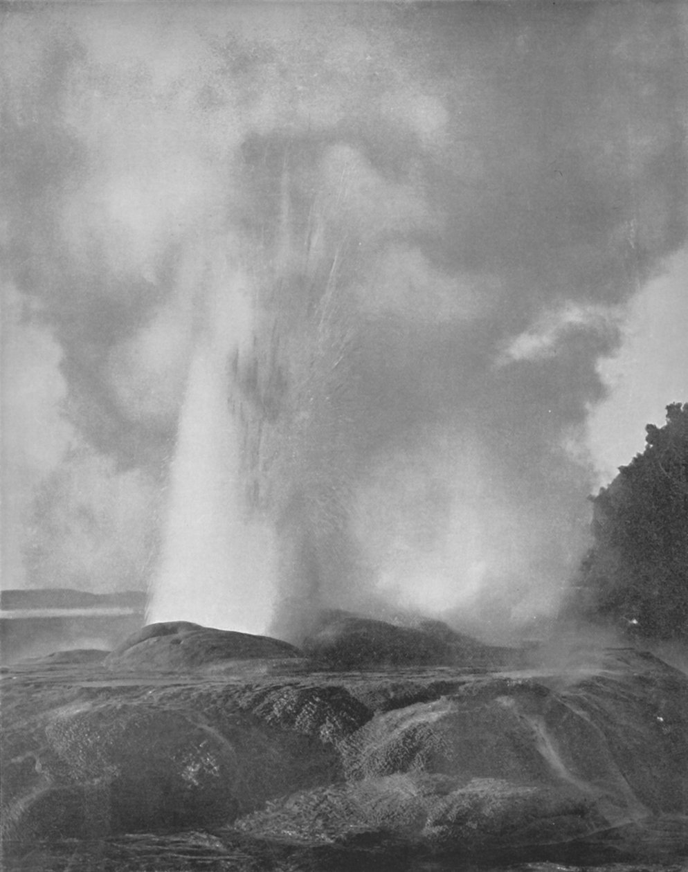 Waikite-geysir, 1800-luku tekijältä Unbekannt