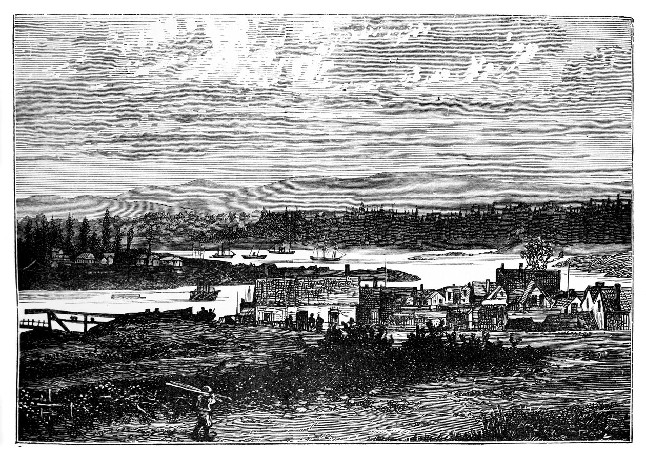 Victorian läntinen esikaupunki, Vancouver Island, Kanada, 1888 tekijältä Unbekannt