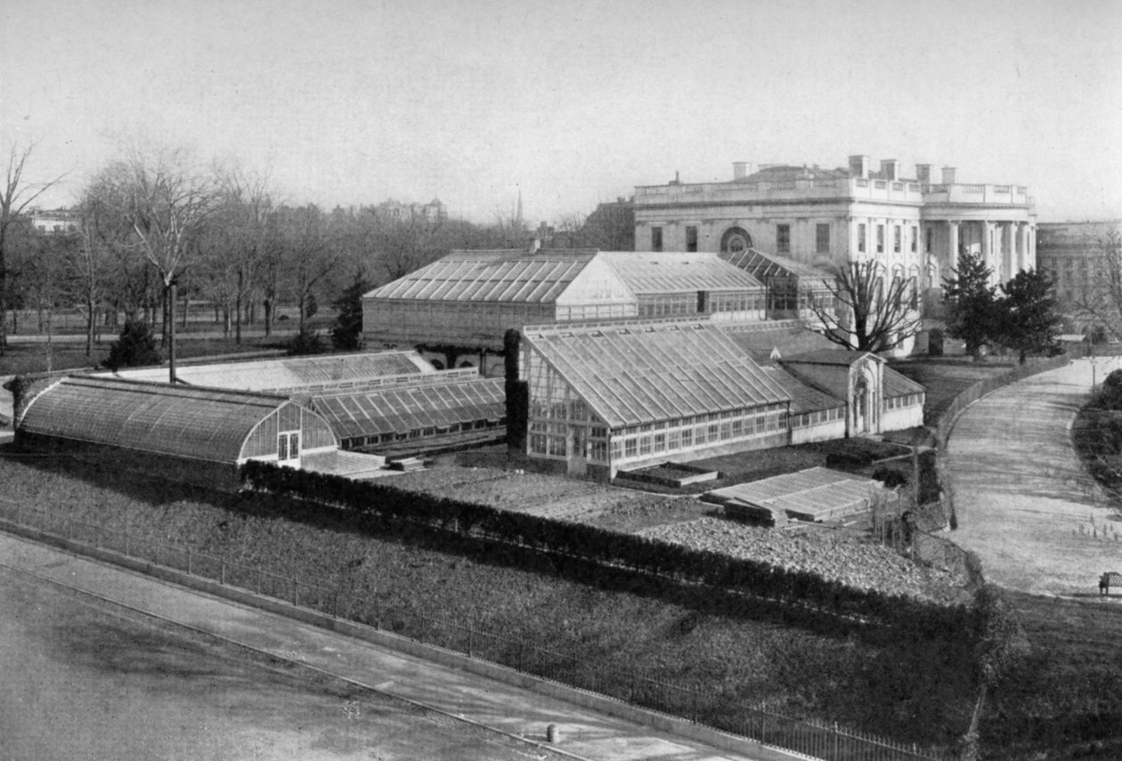 Valkoinen talo ja kasvihuoneet, Washington DC, USA, 1908 tekijältä Unbekannt