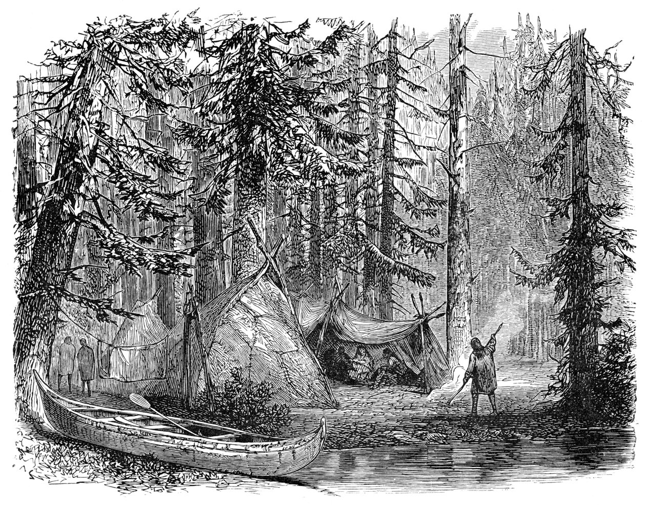 Metsä ennen siirtolaista, 1900 tekijältä Unbekannt