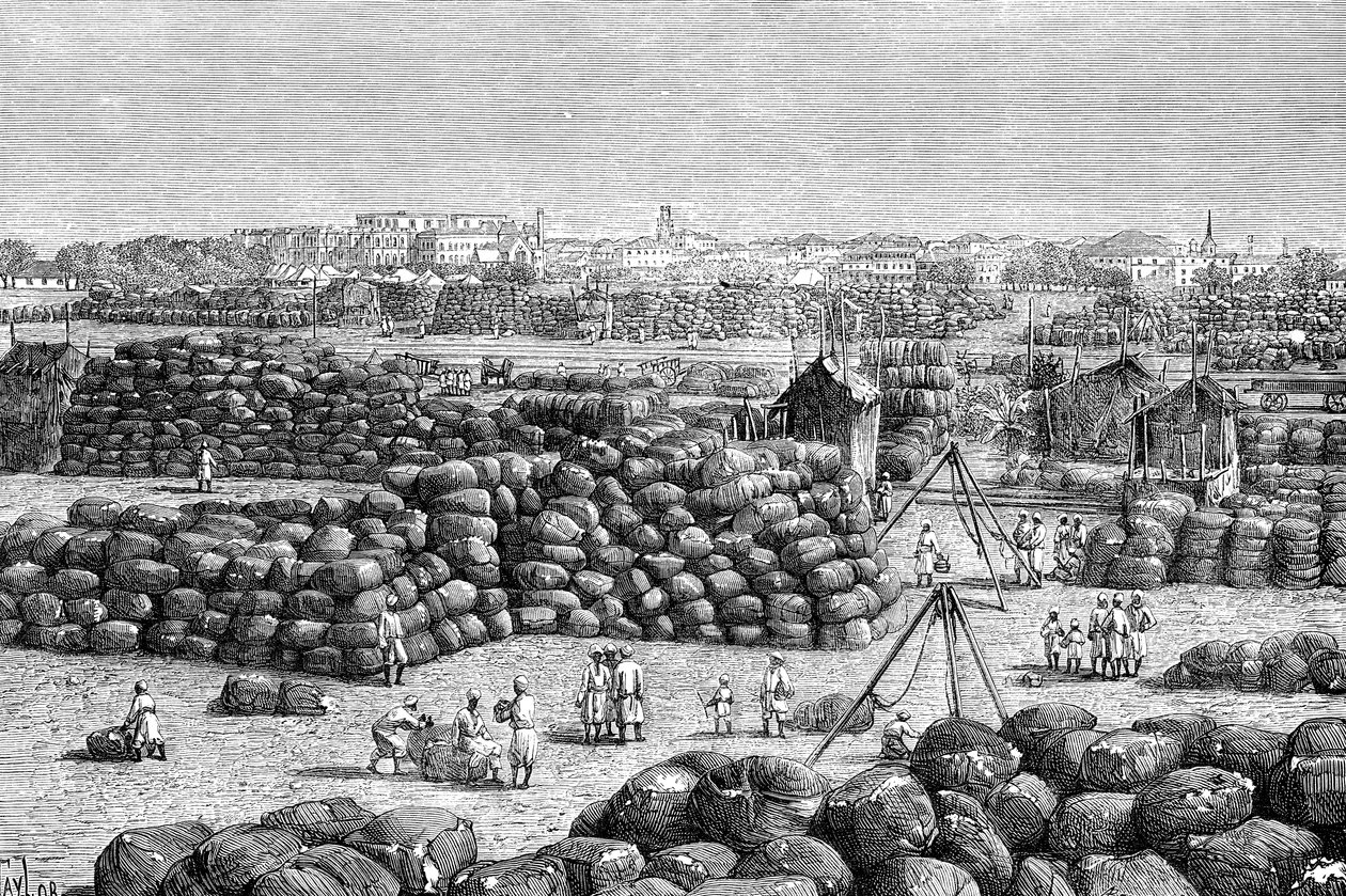Puuvillamarkkinat Bombayssa, Intiassa, 1895 tekijältä Unbekannt