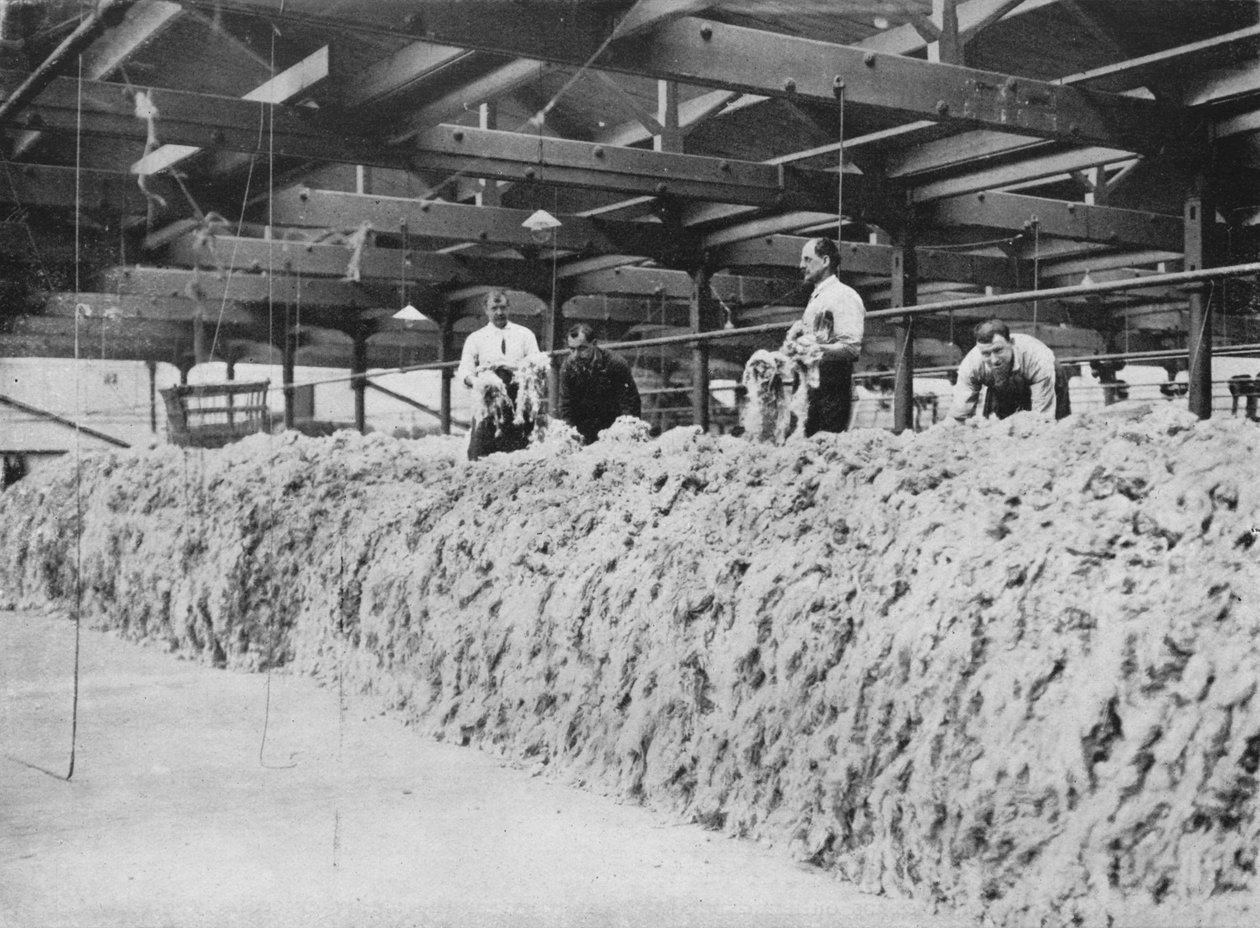 Khakin valmistus - Villasekoitus, 1915 tekijältä Unbekannt