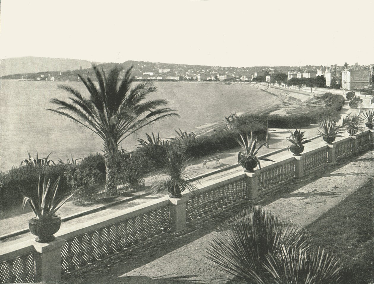 Panorama La Croisette, Cannes, Ranska, 1895. tekijältä Unbekannt