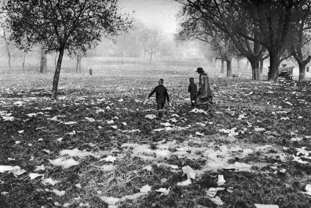 Hampstead Heathiin jätetyt roskat pyhäpäivän jälkeen, Lontoo, 1926-1927 tekijältä Unbekannt