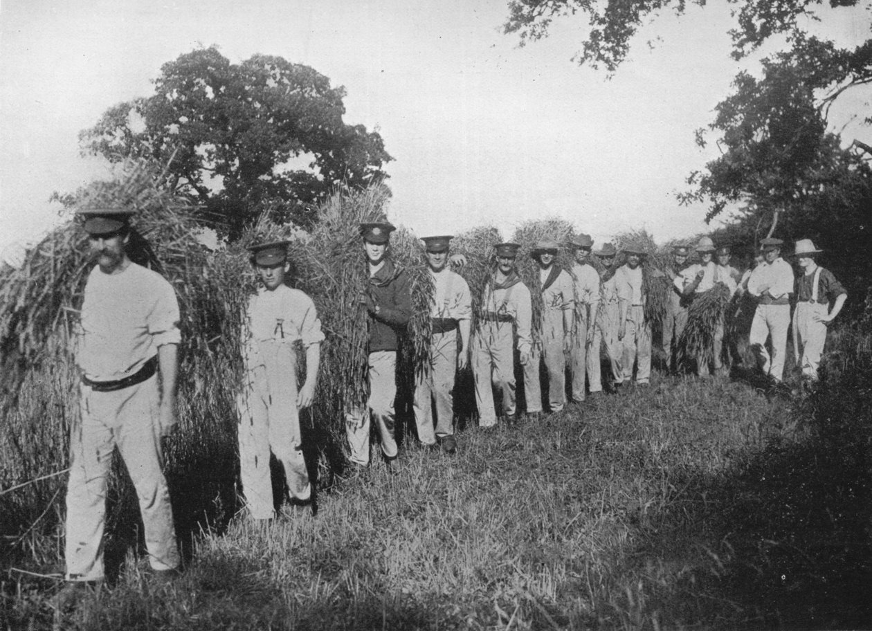 Maatilatyövoimapula: Sotilaat auttamassa sadonkorjuussa, 1915 tekijältä Unbekannt
