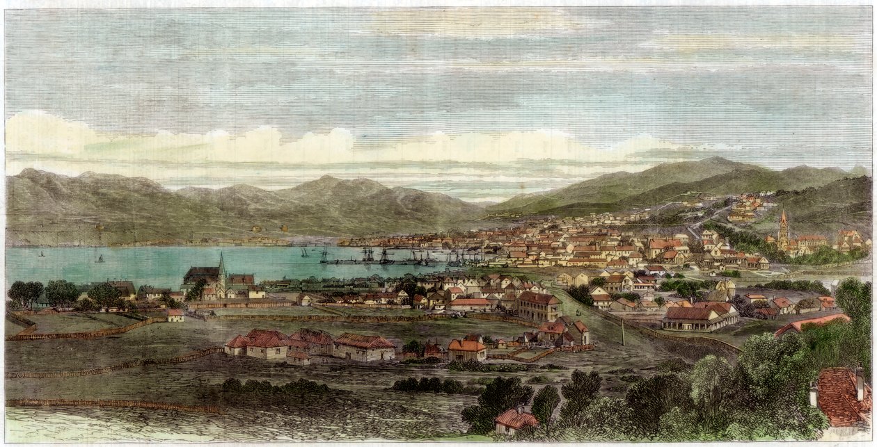 Wellingtonin kaupunki ja satama, Uuden-Seelannin pääkaupunki, vuonna 1880 tekijältä Unbekannt