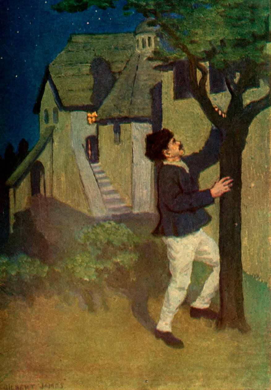 "Nuori mies ravistaa puuta kolme kertaa", 1917. tekijältä Unbekannt