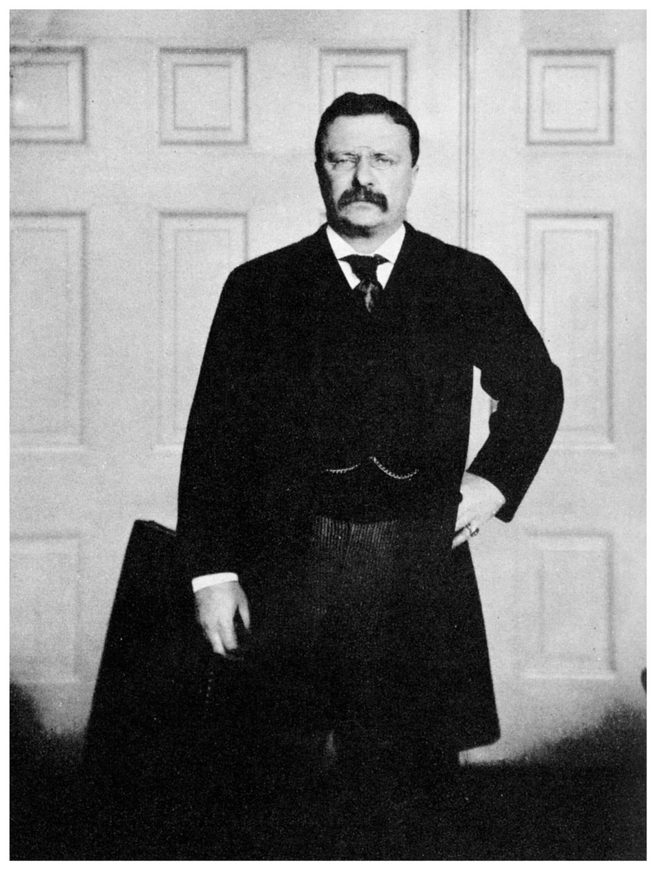 Theodore Roosevelt, Yhdysvaltain 26. presidentti, 1900-luku 1955 tekijältä Unbekannt