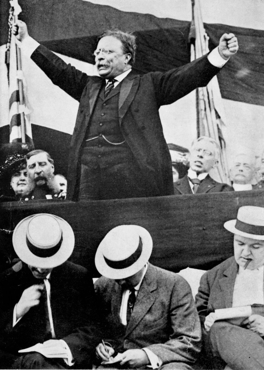 Theodore Roosevelt, Yhdysvaltain presidentti, 1901-1909 tekijältä Unbekannt