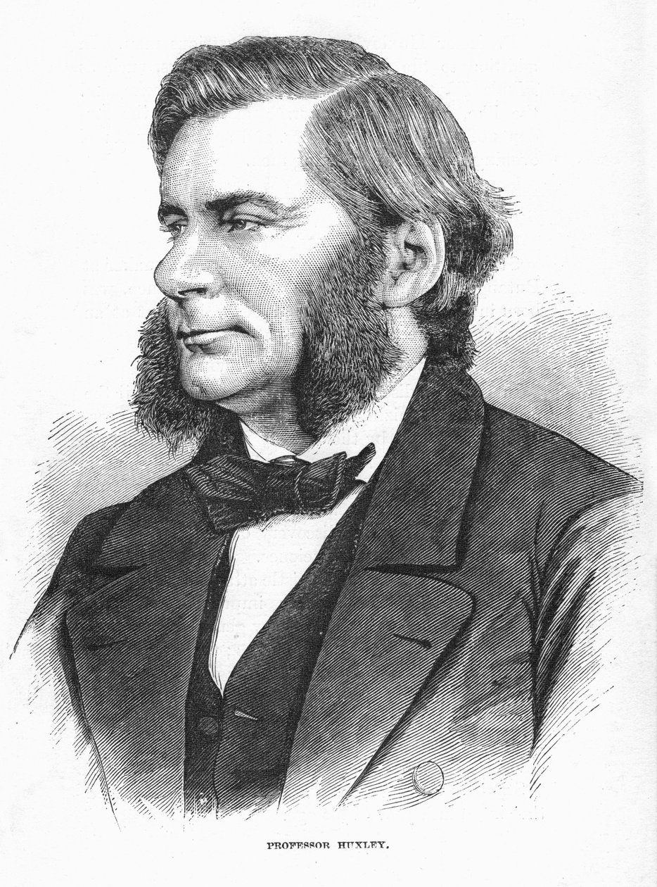 Thomas Henry Huxley, brittiläinen biologi, 1860-luku tekijältä Unbekannt