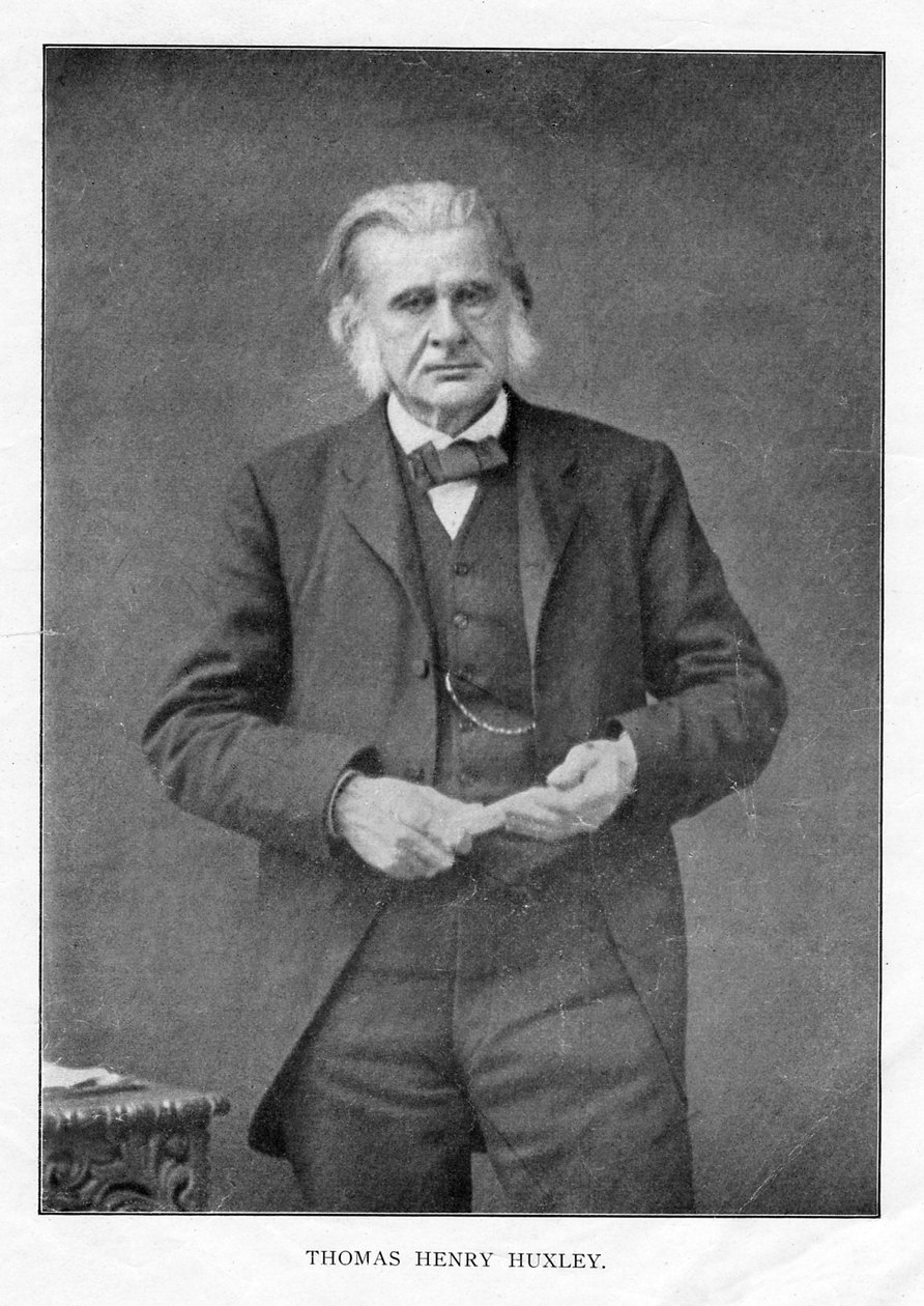 Thomas Henry Huxley, brittiläinen biologi, 1870-luku tekijältä Unbekannt