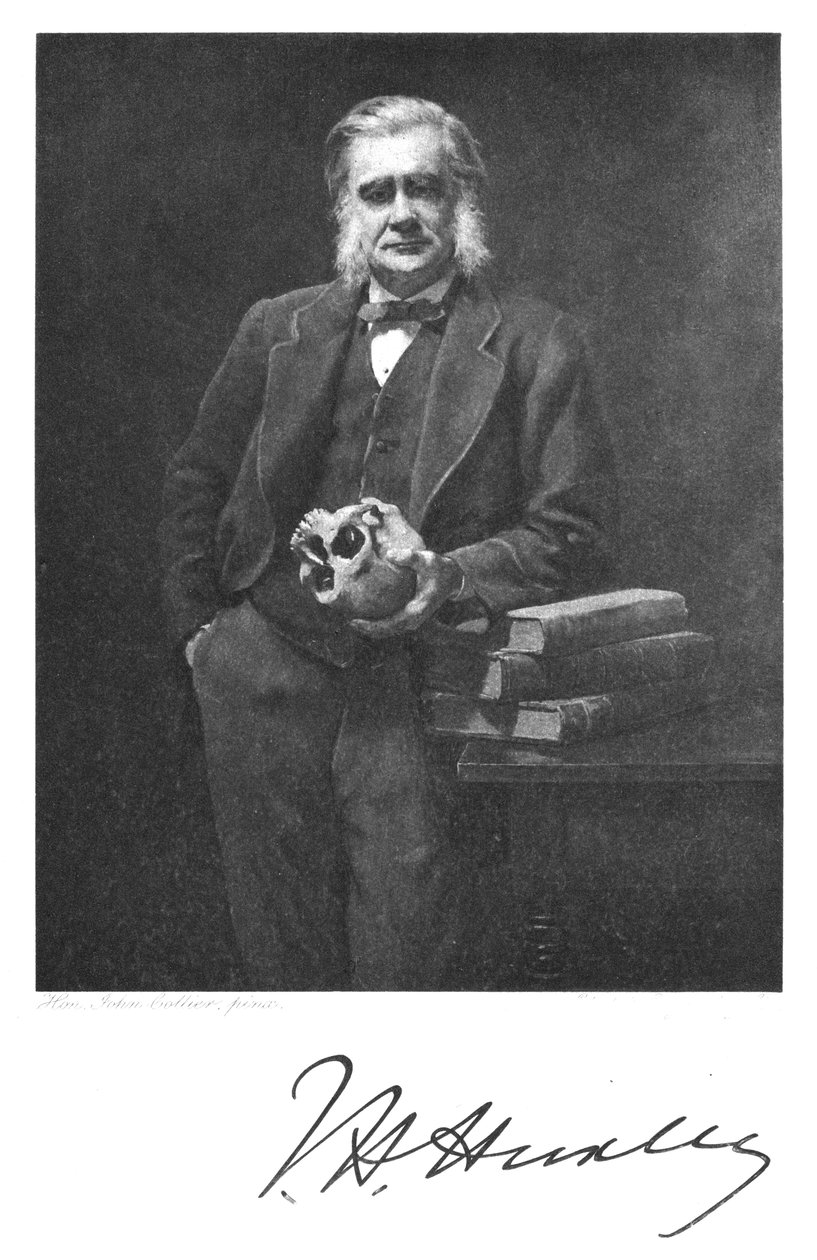 Thomas Henry Huxley, englantilainen biologi, 1883 tekijältä Unbekannt