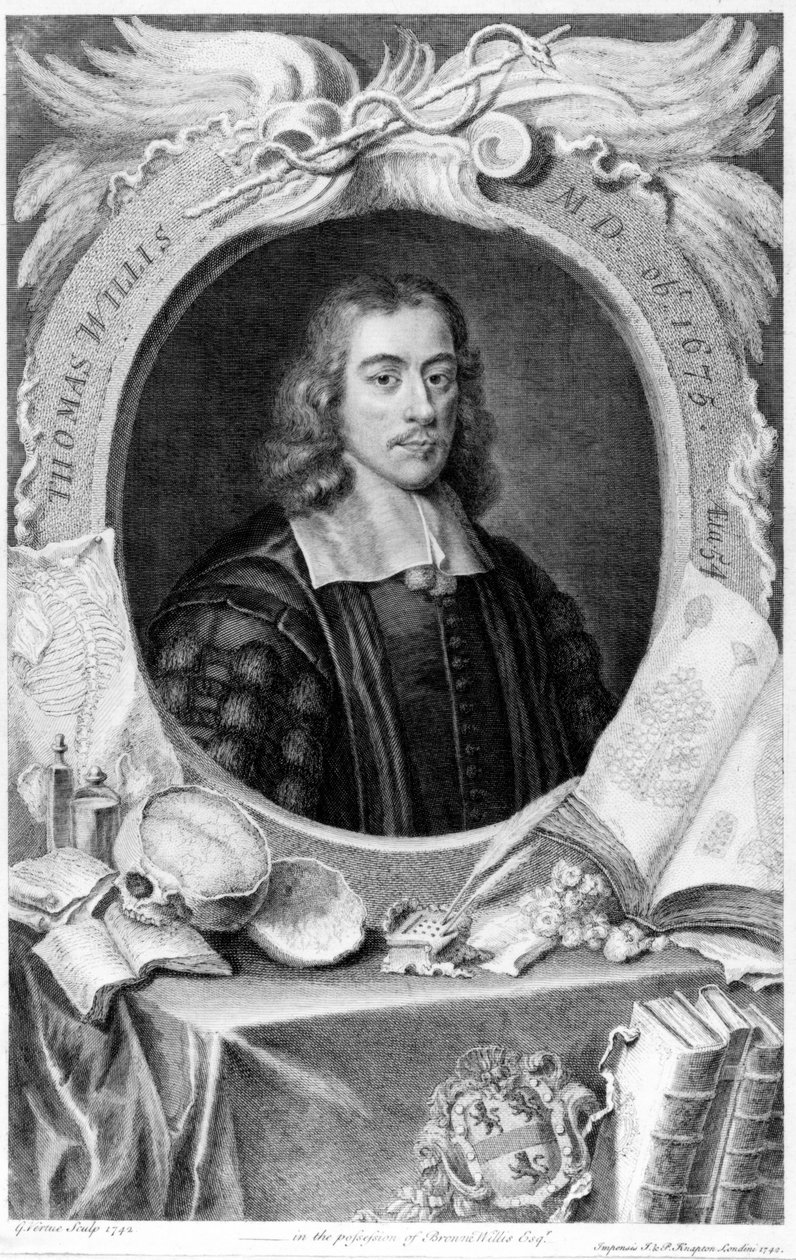 Thomas Willis, English physician, c 1660 tekijältä Unbekannt
