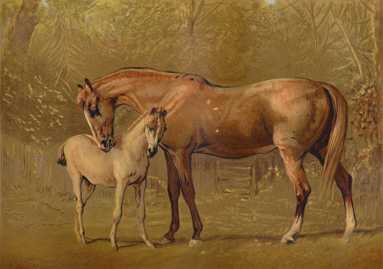 Täysverinen tamma ja varsa, s. 1879. tekijältä Unbekannt