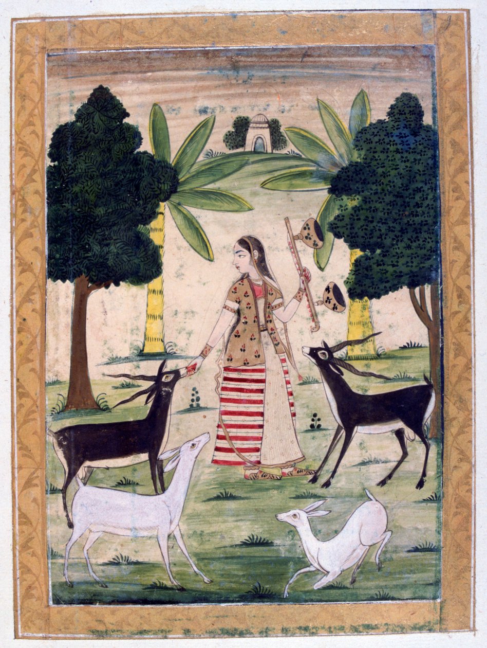Todi Ragini, Ragmala-albumi, Rajasthanin koulu, 1800-luku tekijältä Unbekannt