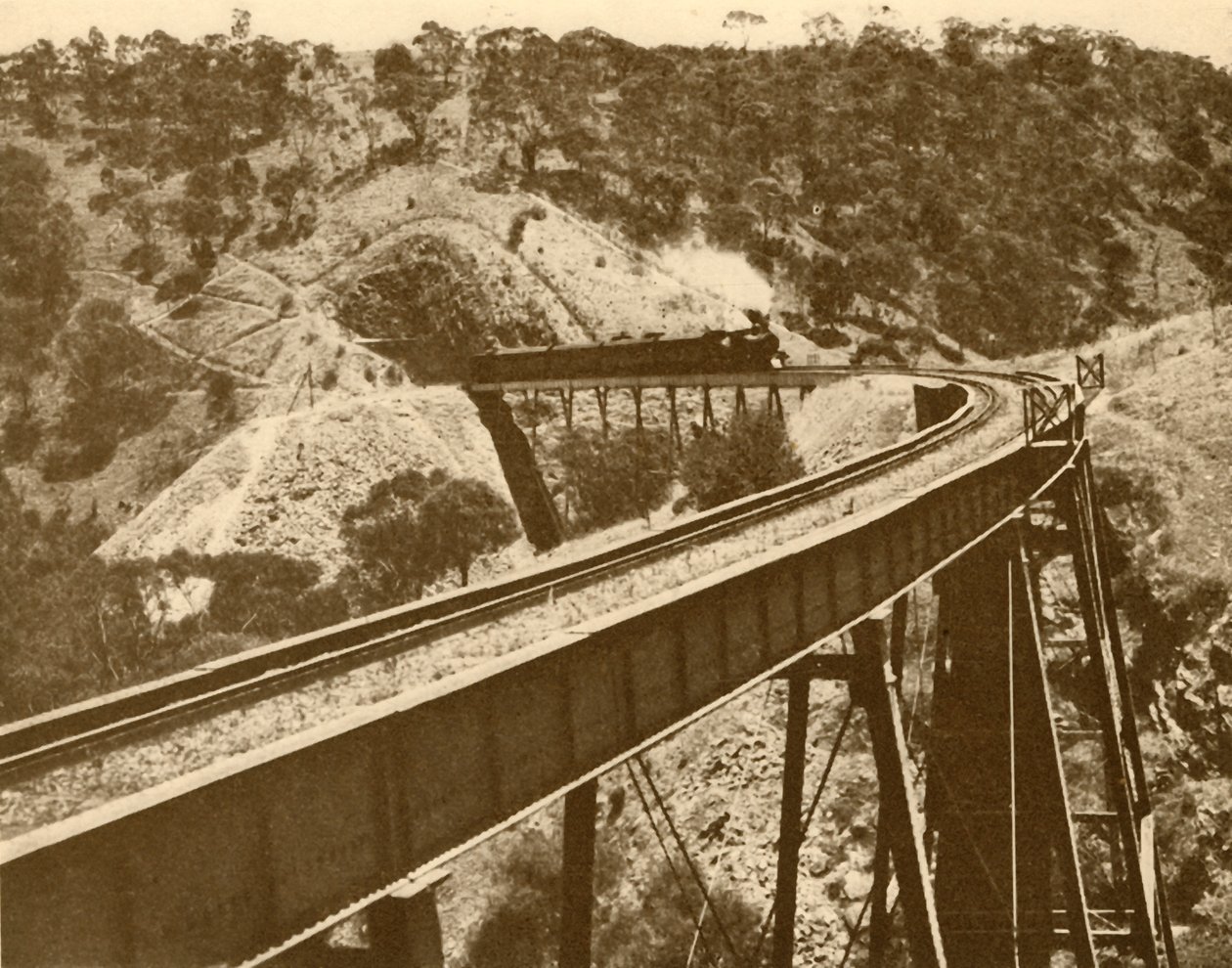 Juna kulkee viaduktin yli, Mount Lofty Range, Etelä-Australia, 1930. tekijältä Unbekannt