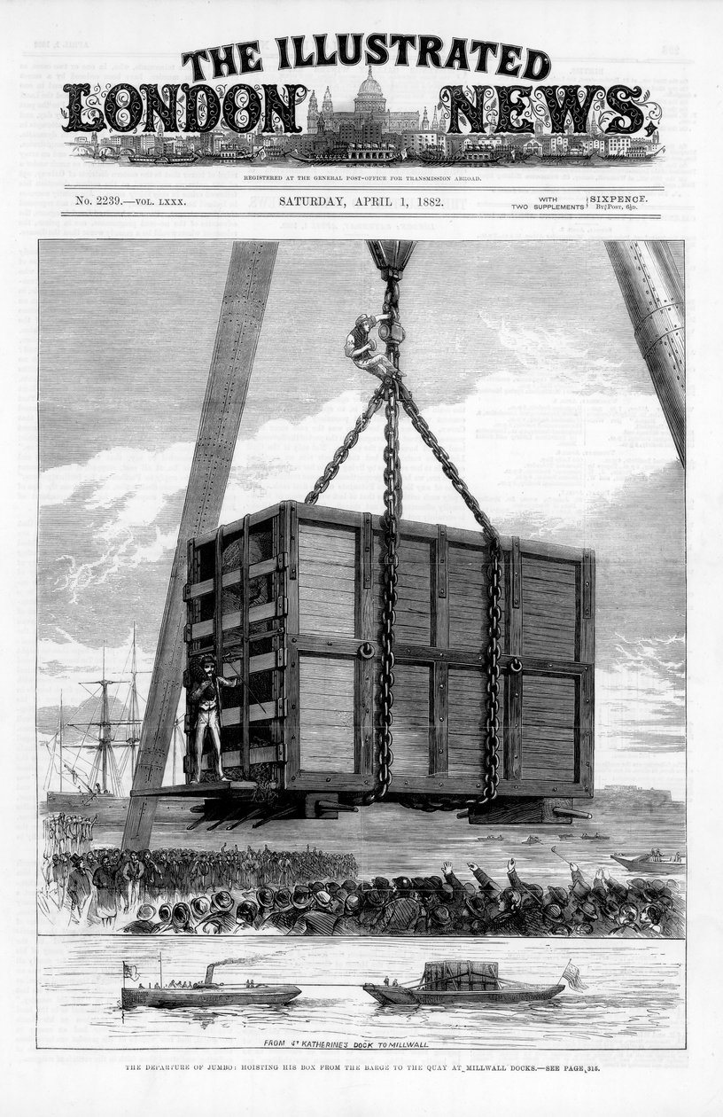 Afrikannorsun Jumbon kuljettaminen Amerikkaan, 1882 tekijältä Unbekannt