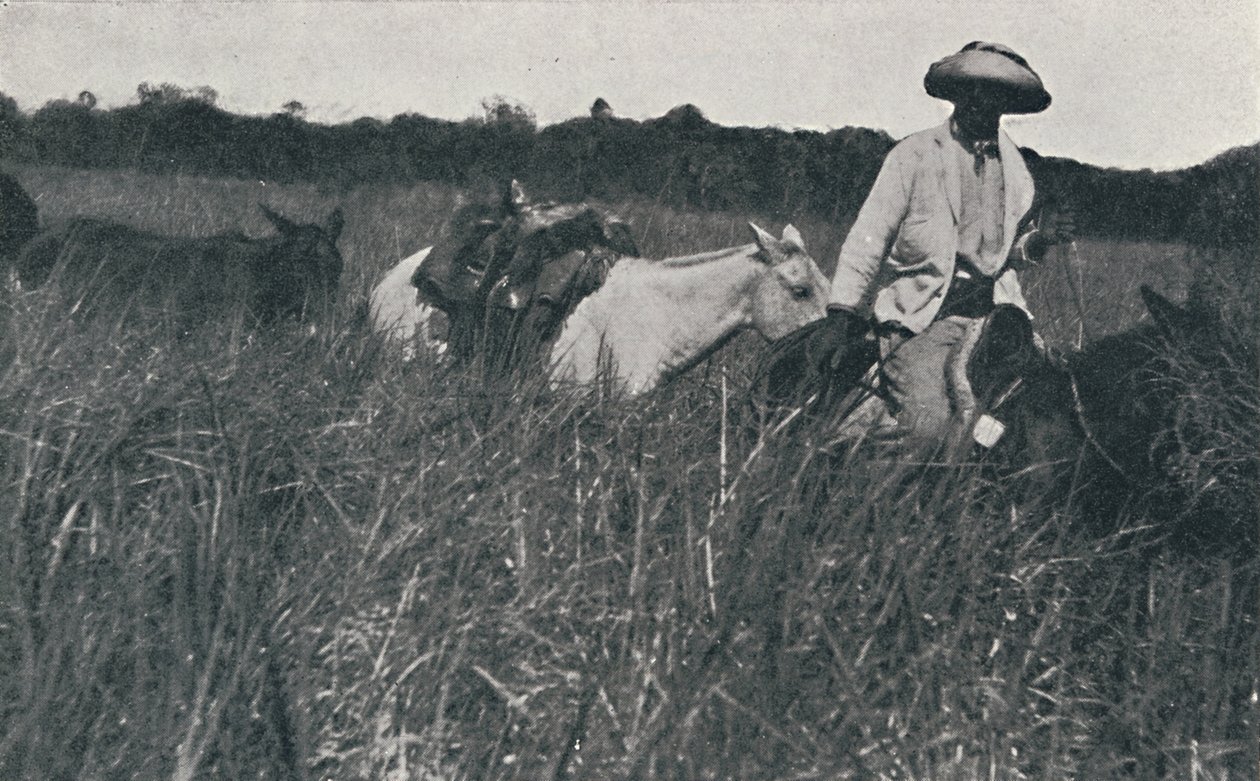 Matka pampoilla, 1916 tekijältä Unbekannt