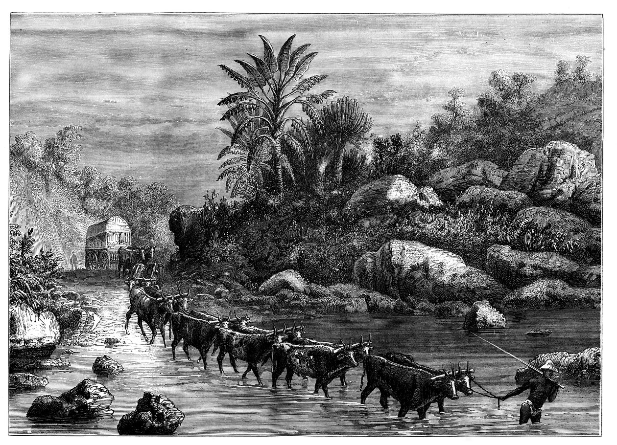 Matkustaminen Griqualandissa, Etelä-Afrikassa, c1890 tekijältä Unbekannt