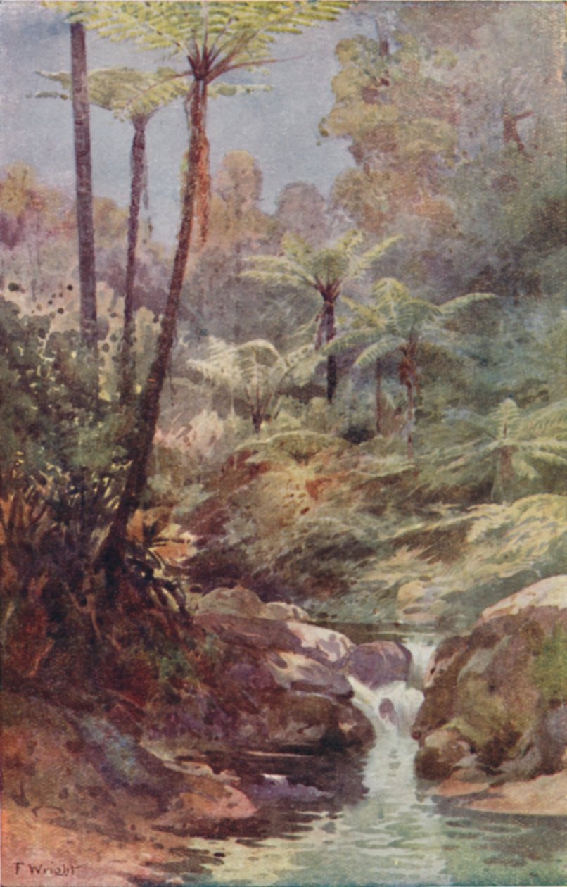 Saniaiset, 1923. tekijältä Unbekannt