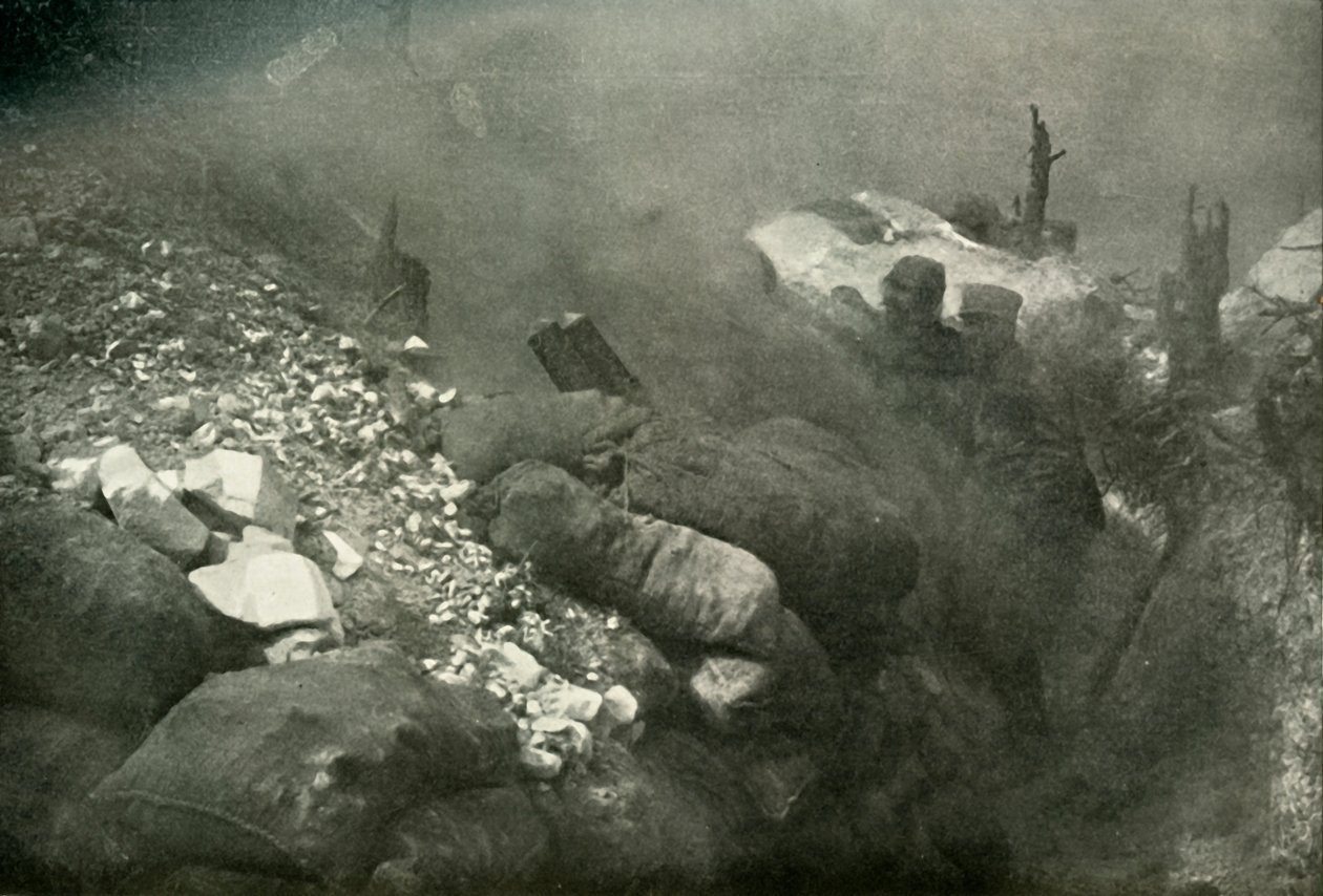 Hautasodankäynti Argonnessa, 1919. tekijältä Unbekannt