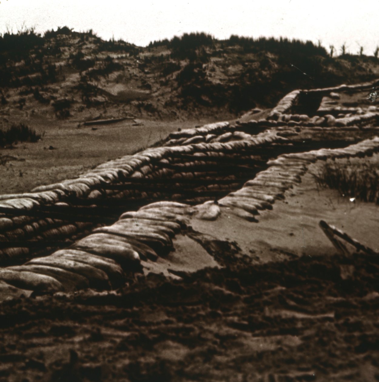 Kaivannot dyynien suojassa, Nieuwpoort, Flanderi, Belgia, c1914-c1918 tekijältä Unbekannt