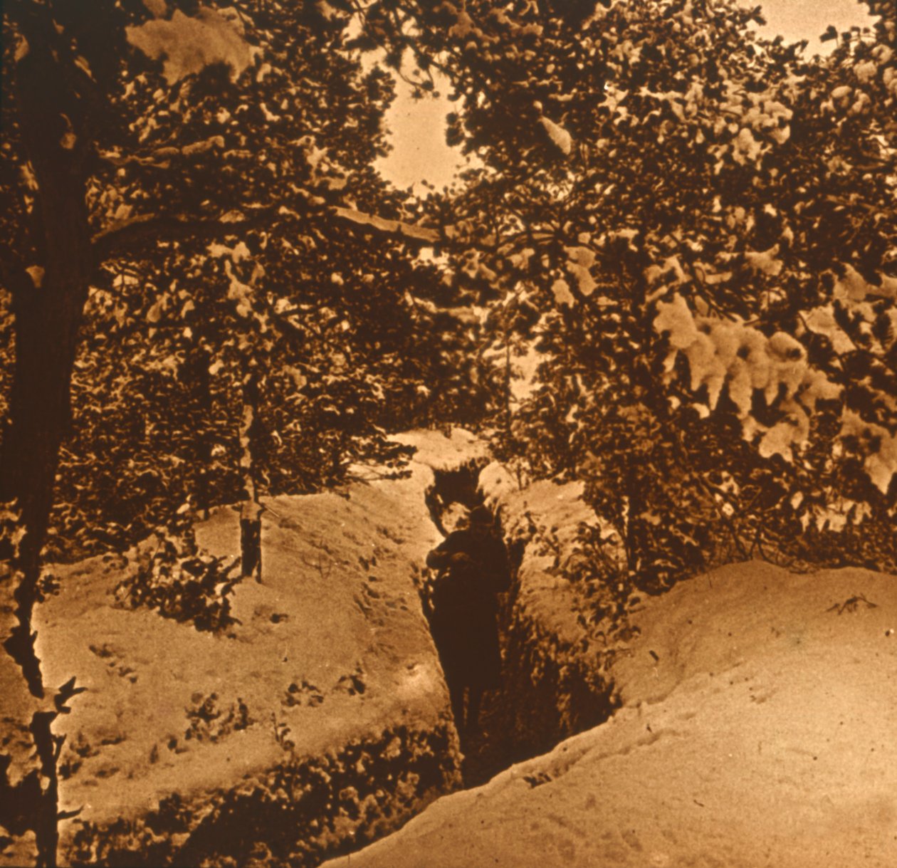Haudat kuusien alla, c1914-c1918 tekijältä Unbekannt
