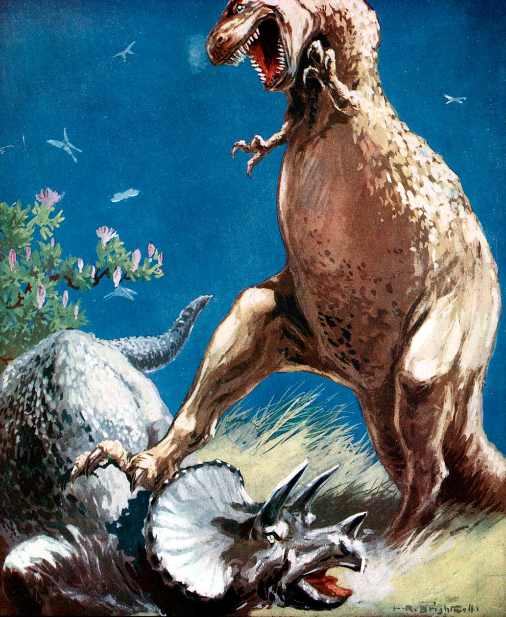 Triceratops, sarvimainen dinosaurus, jota tyrannosaurus pitää alhaalla, vuodelta 1920 tekijältä Unbekannt