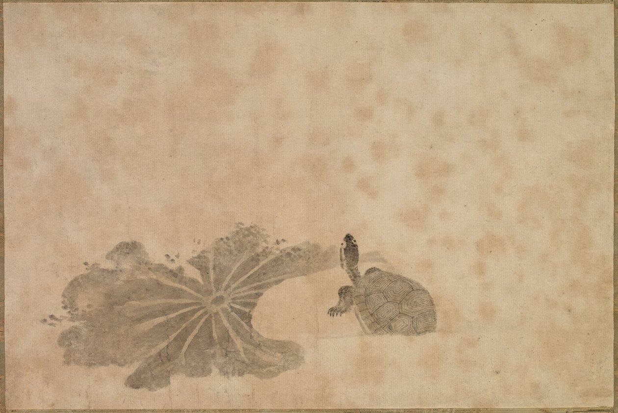 Kilpikonna Lotus Pondissa, 1700-luku. tekijältä Unbekannt