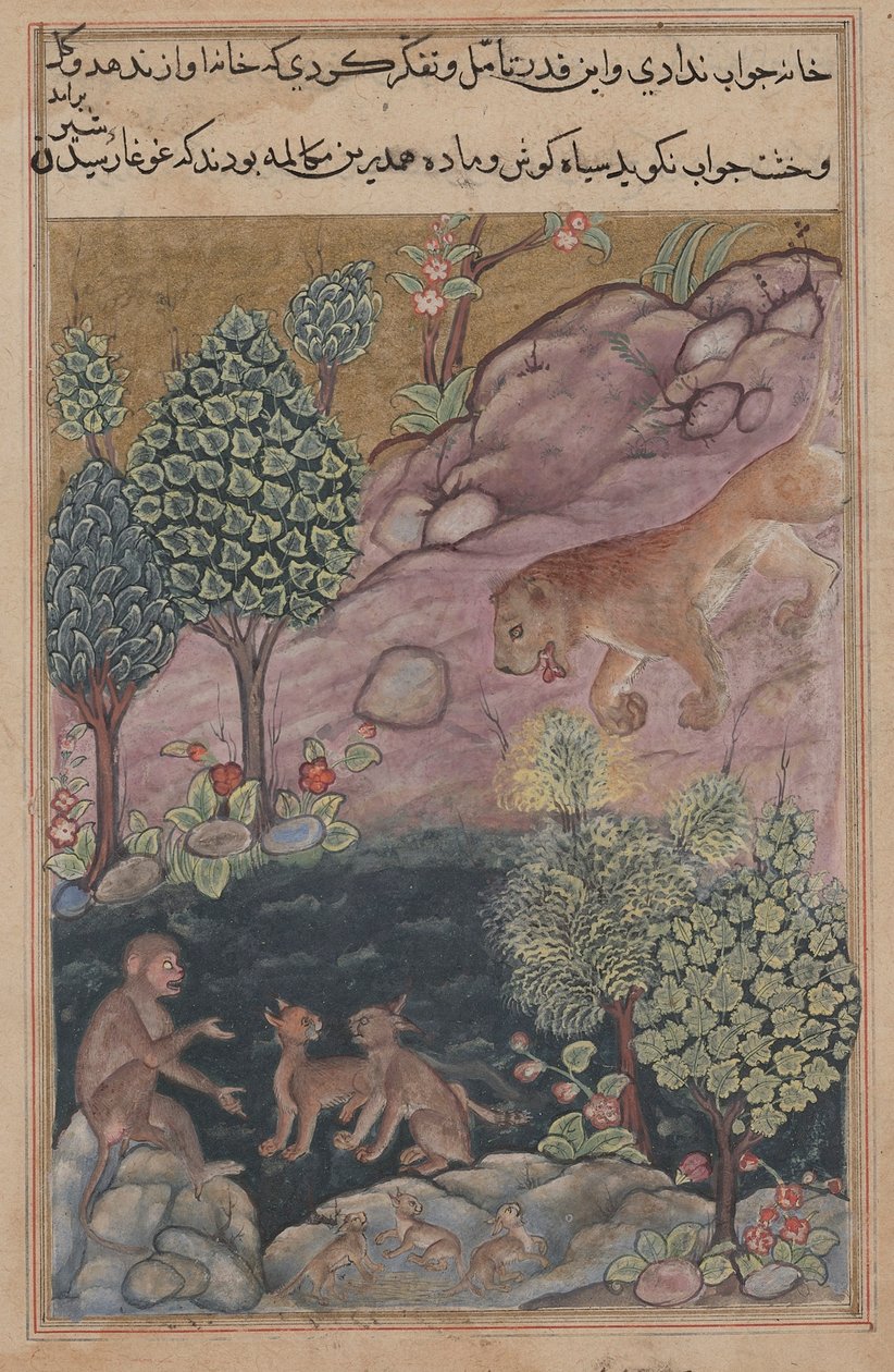 Tuti-Nama Tales of a papukaija: Tarina XXIX, Leijona palaa alueelleen ja nähdä, c. 1560. tekijältä Unbekannt