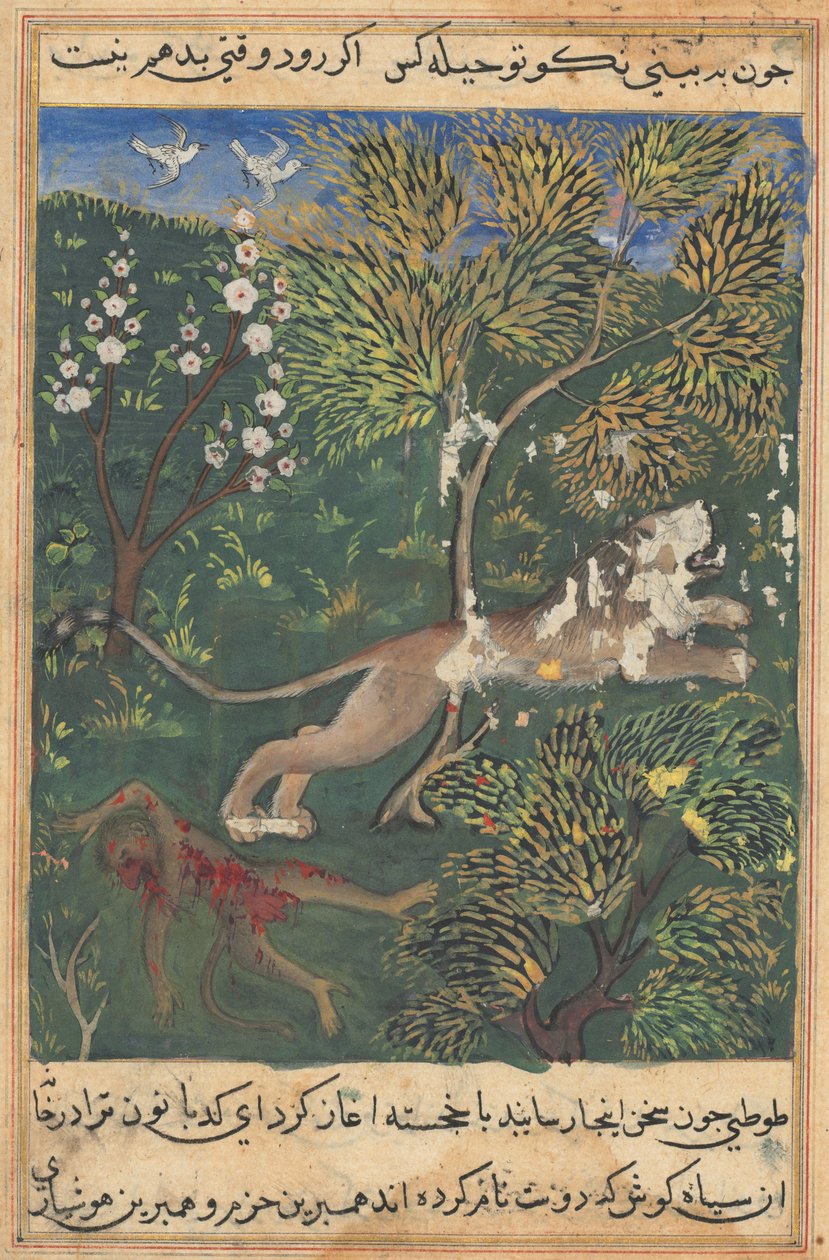 Tuti-Nama Papukaijan tarinoita: Tarina XXIX, c. 1560. tekijältä Unbekannt