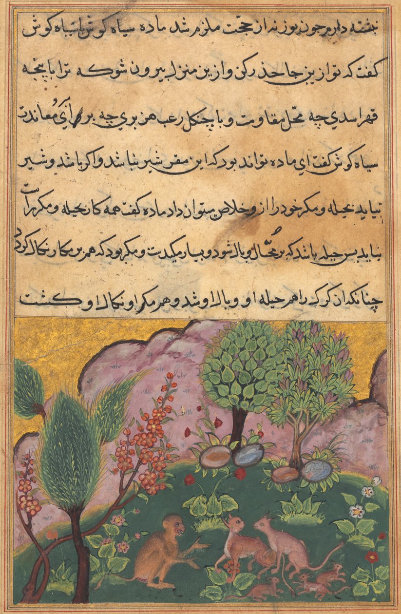 Tuti-Nama Papukaijan tarinoita: Tarina XXIX, c. 1560. tekijältä Unbekannt
