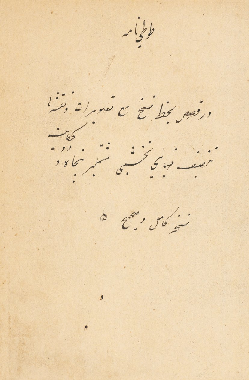 Tuti-Nama Tales of a papukaija, n. 1560. tekijältä Unbekannt