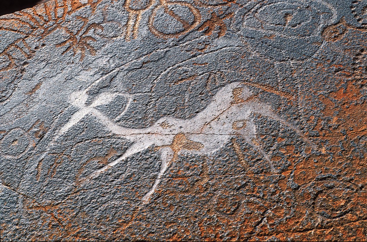Twyfelfonteinin kalliomaalauksia, DAMARALAND, NAMIBIA tekijältä Unbekannt