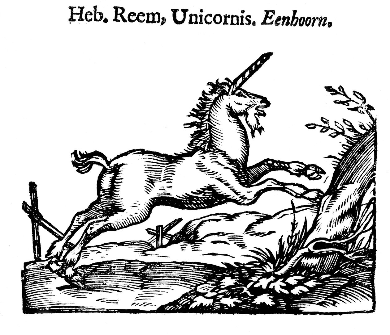 Yksisarvinen, 1644 tekijältä Unbekannt