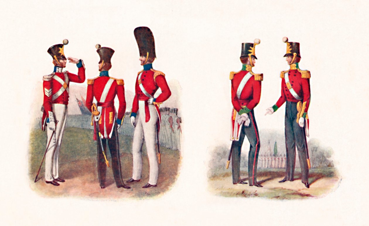 86. Regt.:n, 1842 ja Regt., 1848, 1904, univormut tekijältä Unbekannt