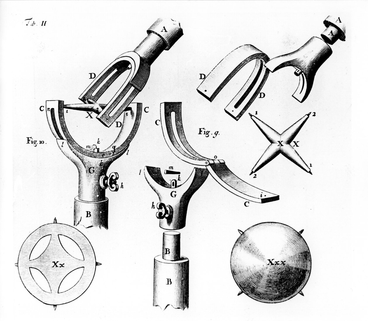 Yleisnivel, jonka keksi Robert Hooke, 1676 tekijältä Unbekannt