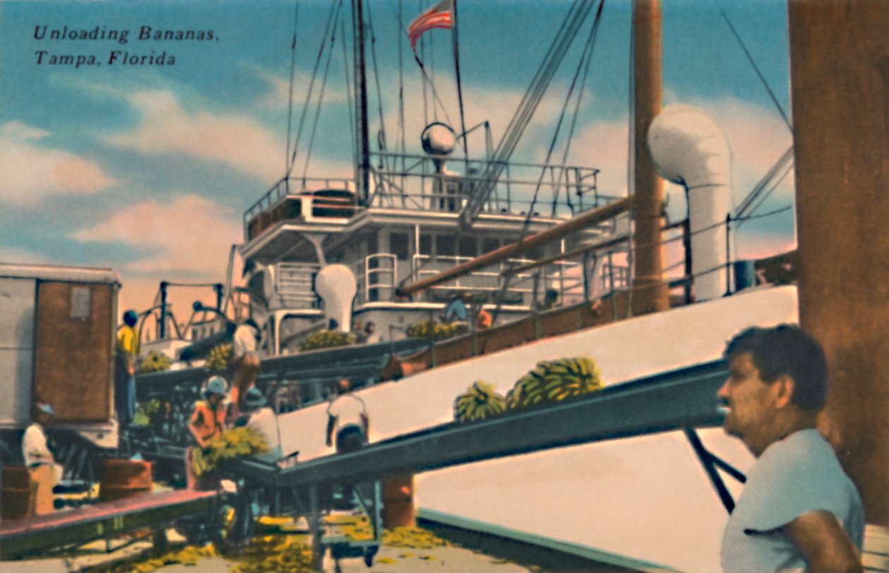 Banaanien purkaminen, Tampa, Florida, 1940-luku tekijältä Unbekannt