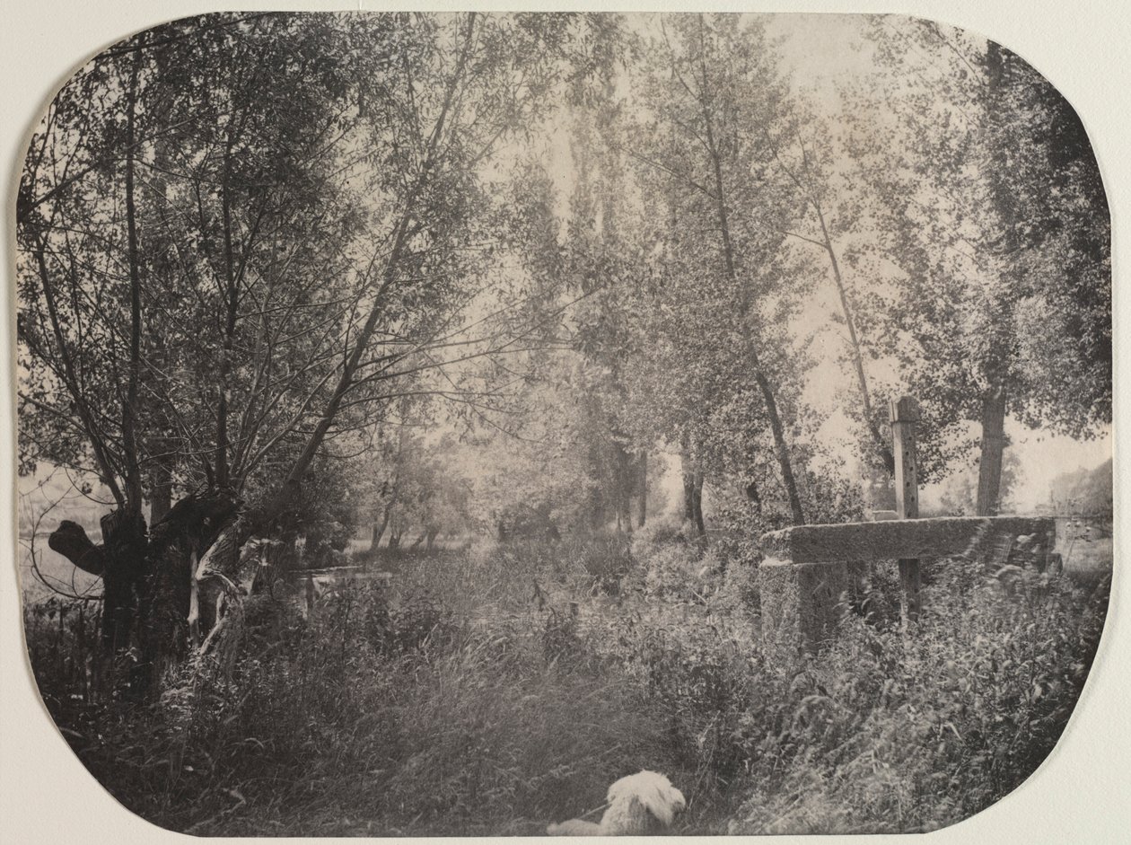 Nimetön Maisema koiran kanssa, c. 1910. tekijältä Unbekannt