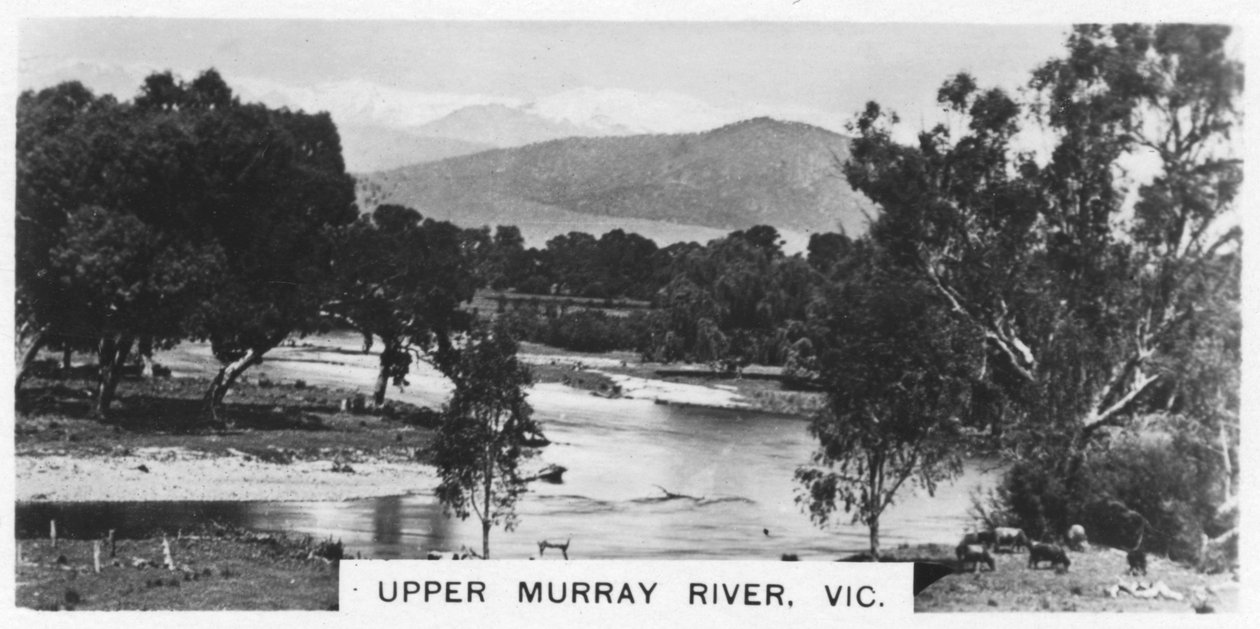 Upper Murray River, Victoria, Australia, 1928 tekijältä Unbekannt